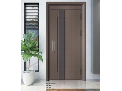 Korean Style Door