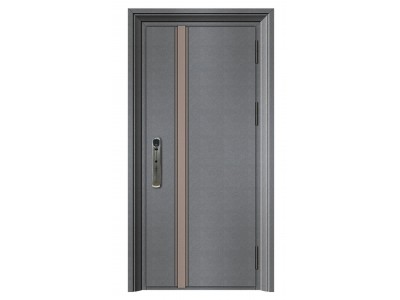 Korean Style Door