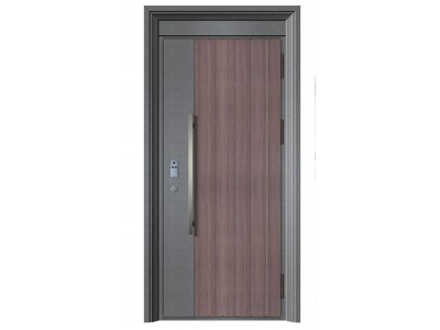 Korean Style Door