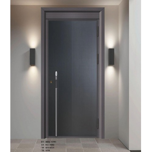 Korean Style Door Simple Luxury Type