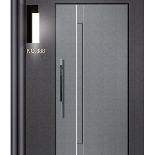 Korean Style Minimalist Door