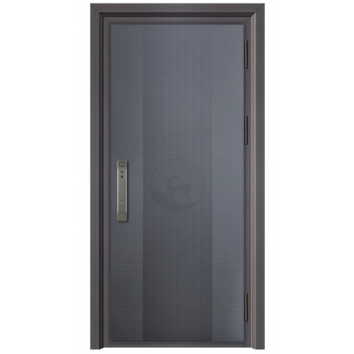 Korean Style Door Simple Luxury Type