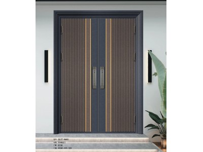 双开韩式门